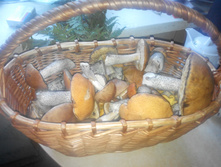 � ��������.jpg