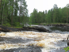 ���� ����� 3.jpg