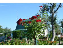 ������ ������� (������ �����)