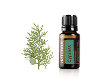 ������� Cypress Essential Oil