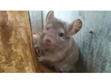 ������� 2