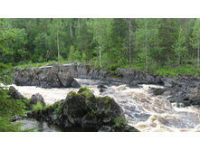 ���� ����� 1.jpg