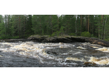 ���� ����� 4.jpg