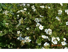 ��� ��������� ��� ������� � ���, ��� � ���ԣ�)