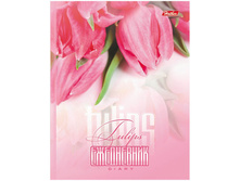 ���������� �������������� �6 160�. 7�� ������� �������� 50,4.jpg