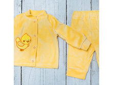 ��������  ���.184