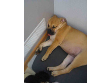 C��� �� ���. �����