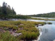 IMG 20150822 172202.jpg