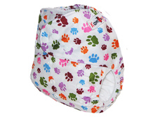 ��������� ����� + 2 �������� �� ����������� �����������