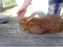 IMG 20150511 191034 44.jpg