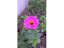 ������ 2015�.