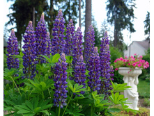 ����� ���� ����������. 180, �������� ������� ����