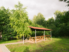 IMG 9095.jpg