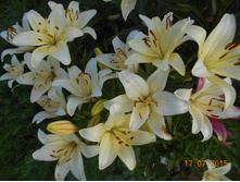 DSCN1130.JPG