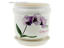 ���� 2,2� ��� ORCHIDEA.jpg