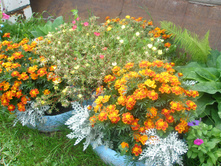 16.08.2015 P8160165.JPG