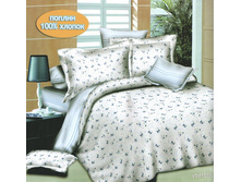 ��� 1516 2� �������� �������� � ���� ���������.jpg