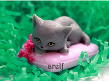 ������� �� ������� - 220 ���.