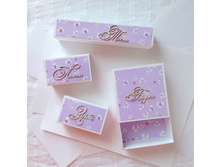 ������ ���������