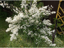 �������� ��������������