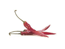 ����� ���� �������, 100 �� �����