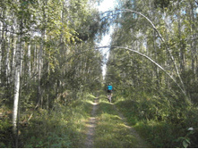 ��������� ����