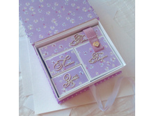 ������ ���������