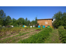 WP 20150811 09 26 04 Pro.jpg