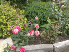 2015-07-18-383 — �����.jpg