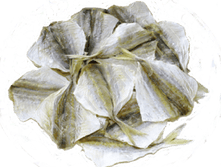 ����������� ���������