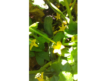 ������ 2015�.