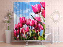 ������� ��������.jpg