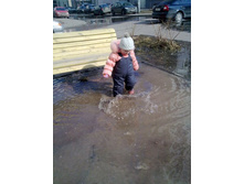 Phoca thumb l 0 3042011025.jpg