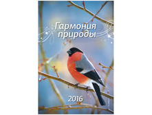 ��������� ������. �������. �� ������ �������� �������, 32-48 ��, � �������, 2016 �. 74,5.jpg