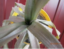 ������(�� ��������)