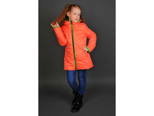 �������� 5.jpg