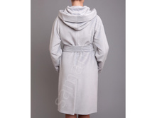 3421, ���� GH-43 ������.jpg