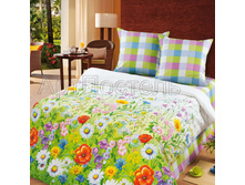 4853-1 Rodnye prostory s kompanonom.jpg