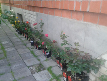 ����� 2015�.