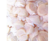 ���� �������