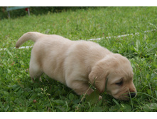 ������� №1