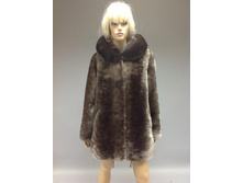 104.������ 20500 ���.