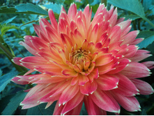 №9 �������.jpg