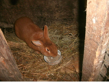 IMG 20150511 191055 34.jpg