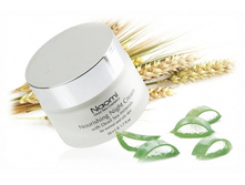 ���� ��� ����(���������� � ������ ����) ����������� � ���������� �������� ���� «NAOMI»314�