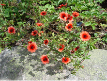 �������� ���������� ���� ��������120