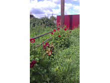 ������ 2015�.