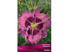 �������� ������.jpg