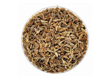 ���� ����, 10 �� ������