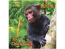 ��������� ������. �������. �� ������� 12�. ������ ���� - ��������, 23-23,5 ��, 2016 �. 36,5.jpg